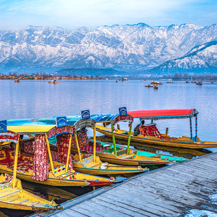 Kashmir Holidays Packages