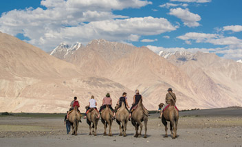 Sand Dunes Of Ladakh