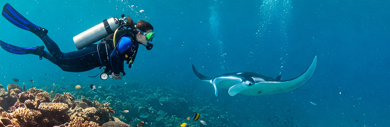 Andaman Package 04 Nights / 05 Days