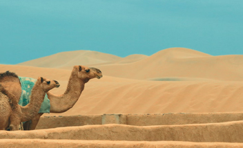 Sun City with Desert Experience