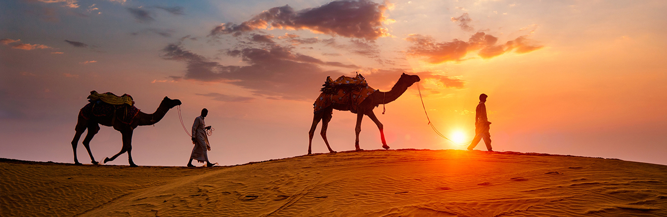 Sun City with Desert Experience